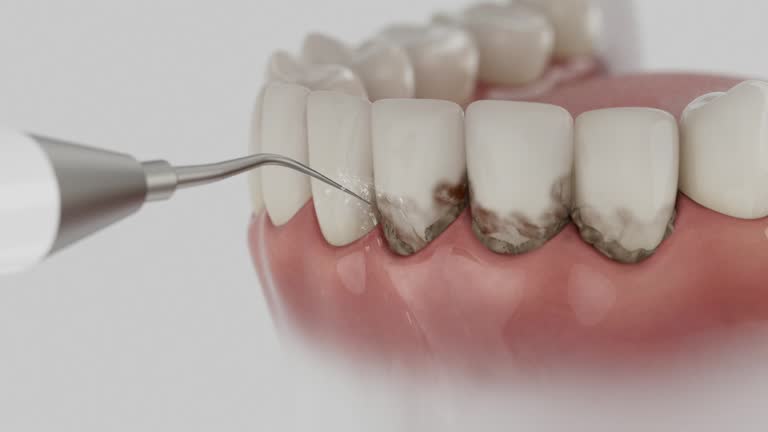 Reliable Dental contractor in Kenai Peninsula Borough County, AK by Dentist Open Now